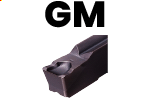 GY2M_RorL05-GM
